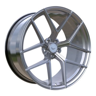 BARRACUDA FORGED SERIES FM10 - Silver