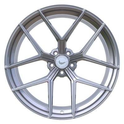 BARRACUDA FORGED SERIES FM10 - Silver