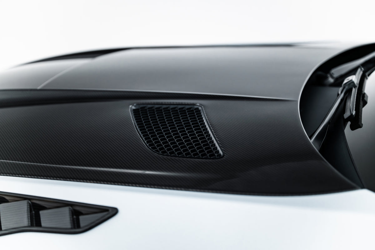 Carbon Fiber Hood Mercedes-AMG GT 43 / 63 / 55 / 63 S E Performance C192