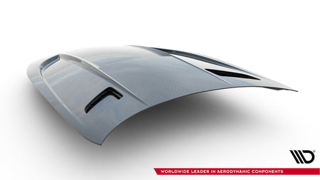Carbon Fiber Hood Mercedes-AMG GT 43 / 63 / 55 / 63 S E Performance C192