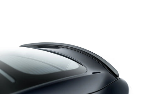 Frontspoiler Lippe, Seitenschweller, Heckdiffusor V.1 Tesla Model S MK1