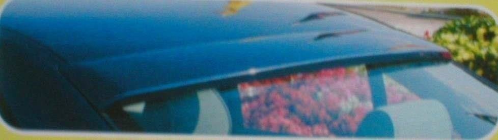 Scheinwerferblenden BMW 5 E39